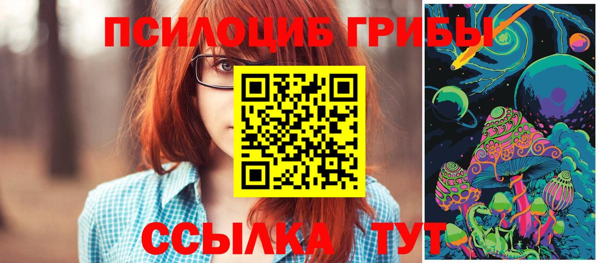 Сухой Лог  Псилоцибиновые грибы GOLDEN TEACHER  Вход с VPN 